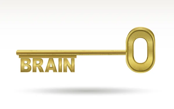 Brain - golden key — Stock Vector