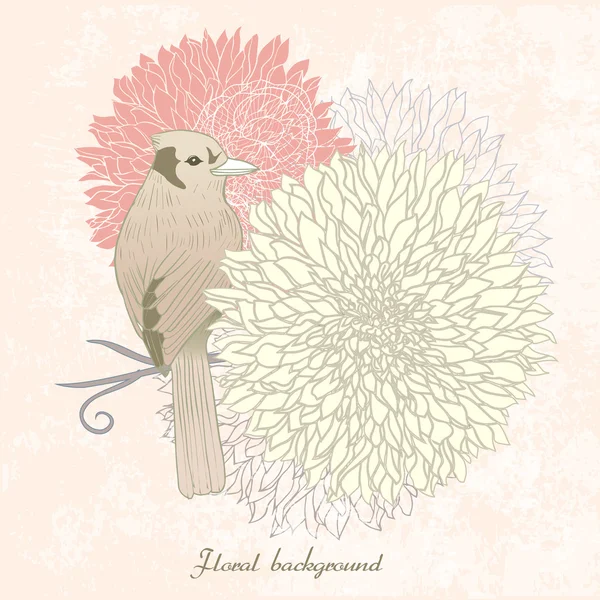 Sierlijke floral achtergrond met bird — Stockvector