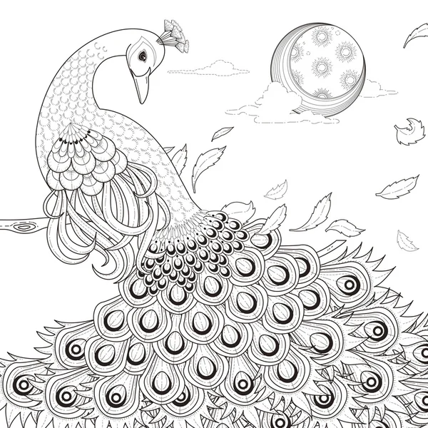 Graceful peacock coloring page — Stock Vector