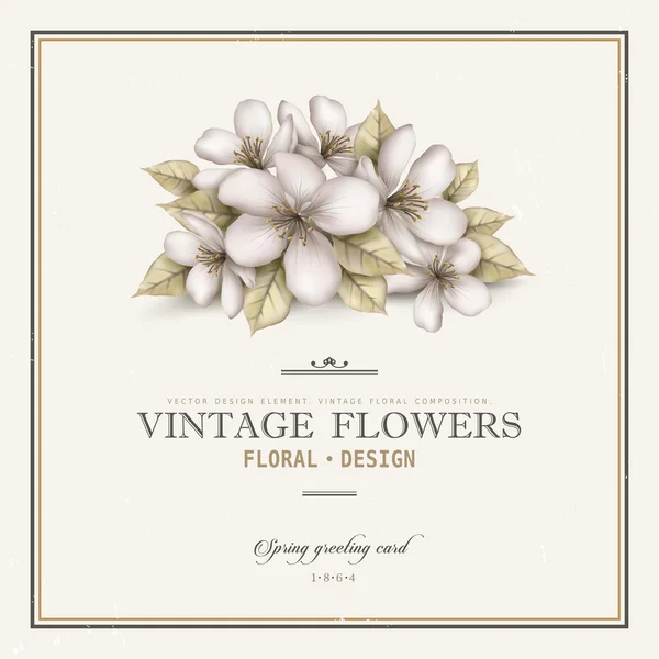 Elegante design di carte vintage — Vettoriale Stock