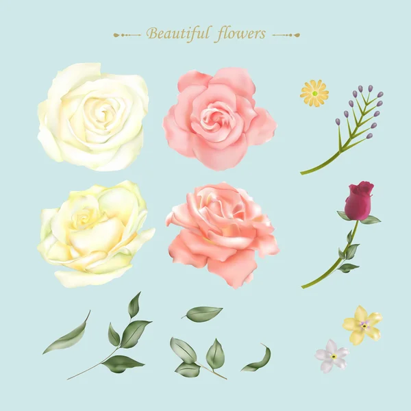 Blick aus nächster Nähe auf schöne Rosen — Stockvektor