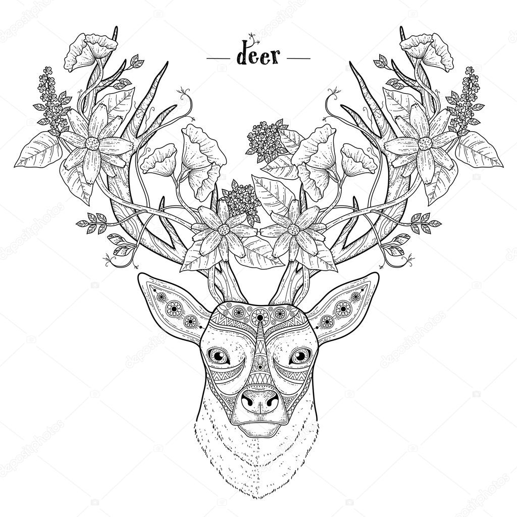 elegant deer head