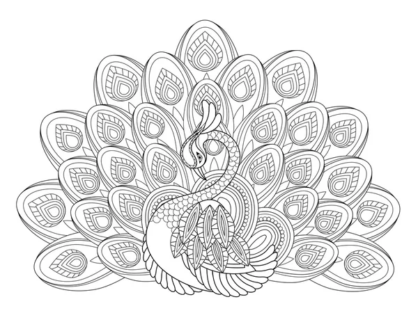 Pavo real elegante — Vector de stock