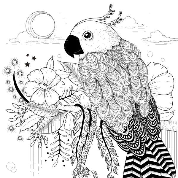 Schöner Papagei — Stockvektor