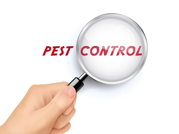 Pest control szavakat mutatja nagyító segítségével — Stock Vector