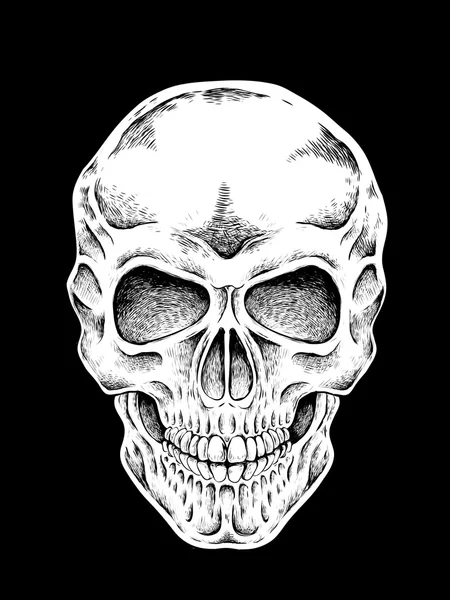 Hand drawn skull — Stock Vector