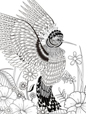 güzel sinek kuşu boyama sayfası