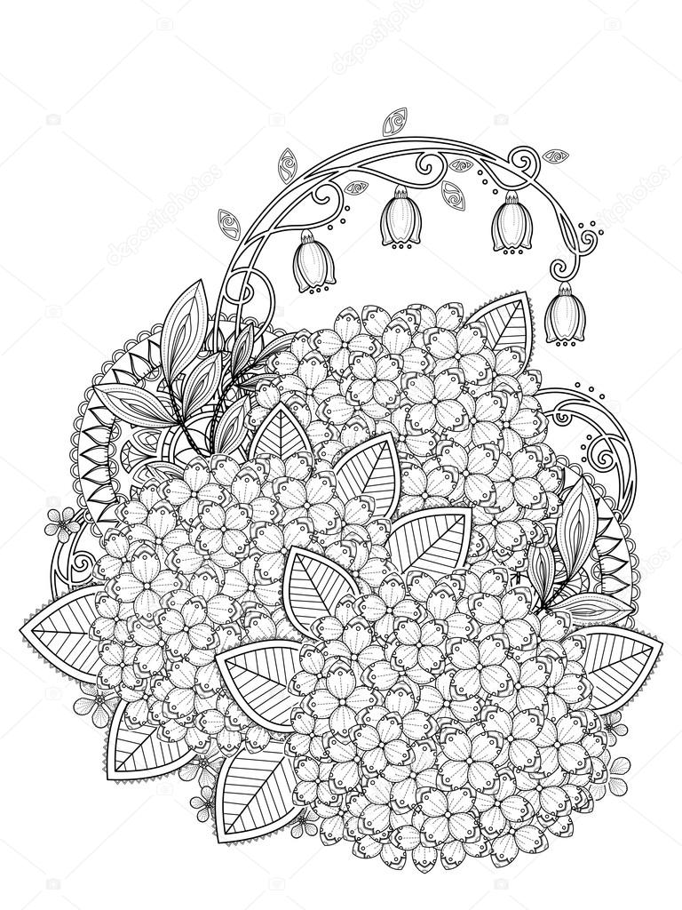 graceful hydrangea coloring page