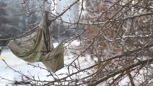 Een Stuk Plastic Zak Hangt Aan Een Tak Bungelt Wind — Stockvideo