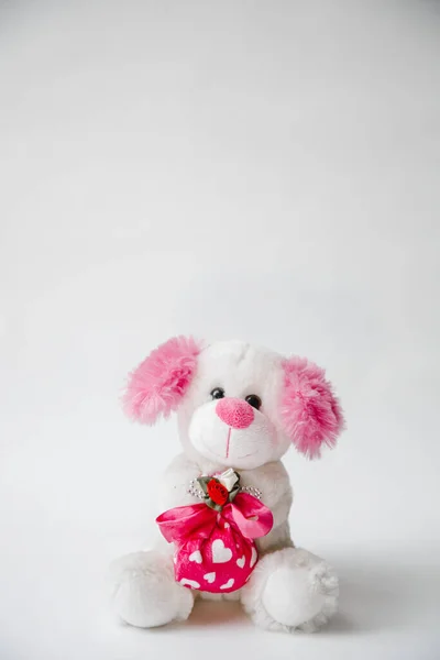 Urso Pelúcia Branco Com Coração Vermelho Presente Dia Dos Namorados — Fotografia de Stock