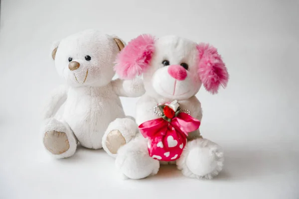 Urso Pelúcia Branco Abraça Cão Pelúcia Presente Dia Dos Namorados — Fotografia de Stock