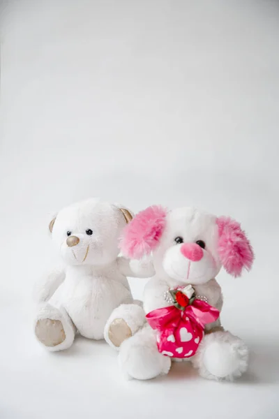 Urso Pelúcia Branco Abraça Cão Pelúcia Presente Dia Dos Namorados — Fotografia de Stock