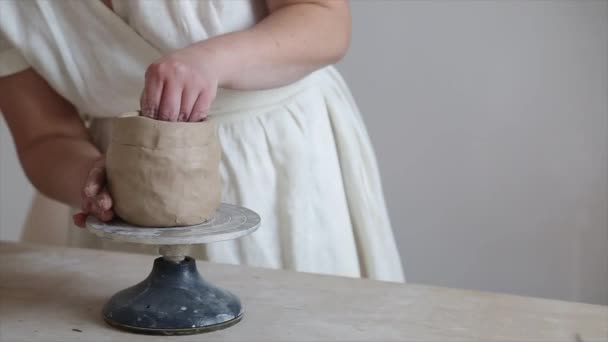 Weibliche Keramikhände Formen Tongeschirr — Stockvideo