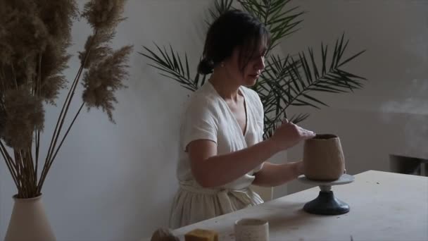 Kvinnliga Keramiker Händer Skulptera Lera Rätter — Stockvideo