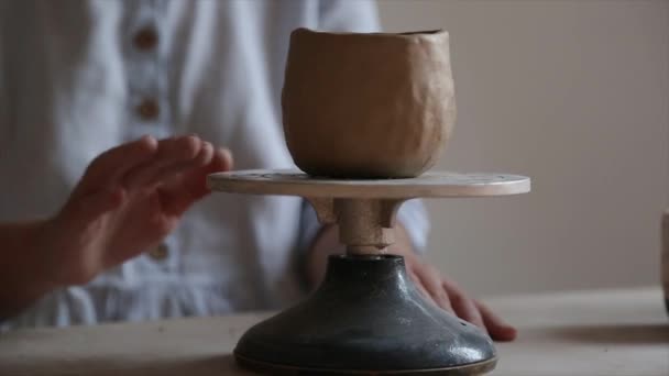 Female Ceramist Hands Sculpt Clay Dishes Candles — Stock Video