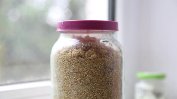 Food Moth Crawls Wheat Grits Glass Jar Lid — Stock Video