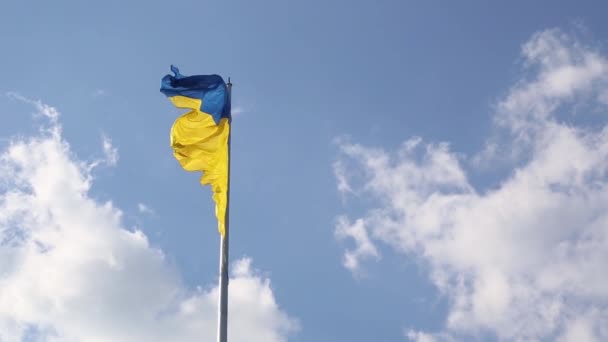 Drapeau Ukrainien Europe Flotte Dans Vent — Video