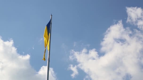 Ukrainische Flagge Weht Europa Wind — Stockvideo