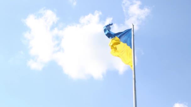 ヨーロッパのウクライナ国旗が風になびく — ストック動画