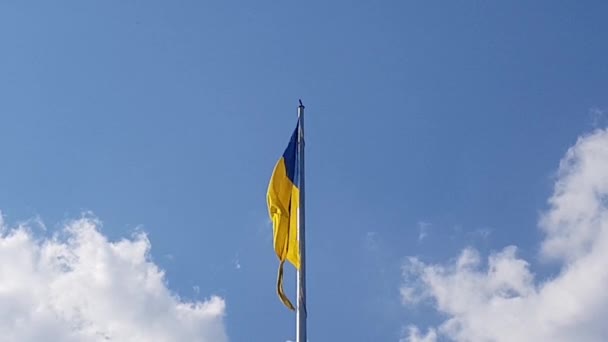 Ukrajinská Vlajka Evropě Vlaje Větru — Stock video