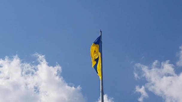 Ukrainische Flagge Weht Europa Wind — Stockvideo