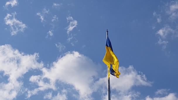 ヨーロッパのウクライナ国旗が風になびく — ストック動画