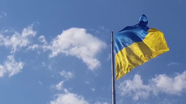 Ουκρανική Σημαία Στην Ευρώπη Κυματίζει Στον Άνεμο — Αρχείο Βίντεο