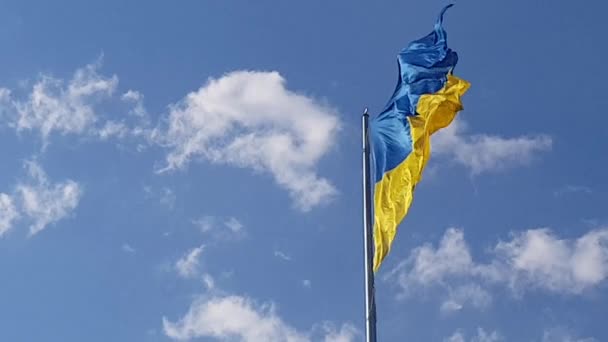 Прапор України Європі Летить Вітром — стокове відео