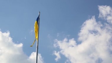 Yeşil yapraklara yağmur damlaları düşer. Ağaçlara sonbahar yağmuru