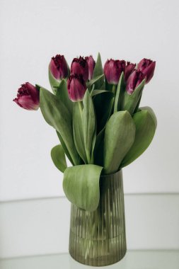 8 Mart 'ta Uluslararası Kadınlar Günü. Laleler bahar tatili için bir hediyedir.