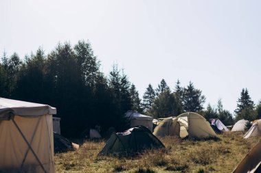 Dağlarda yaz kampı. Ormanın ortasındaki çadır şehri.