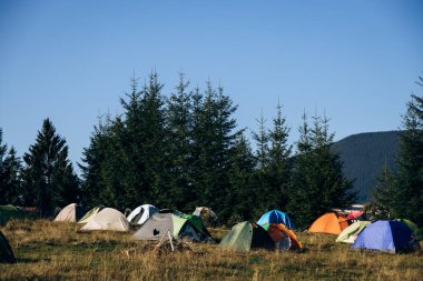 Dağlarda yaz kampı. Ormanın ortasındaki çadır şehri.