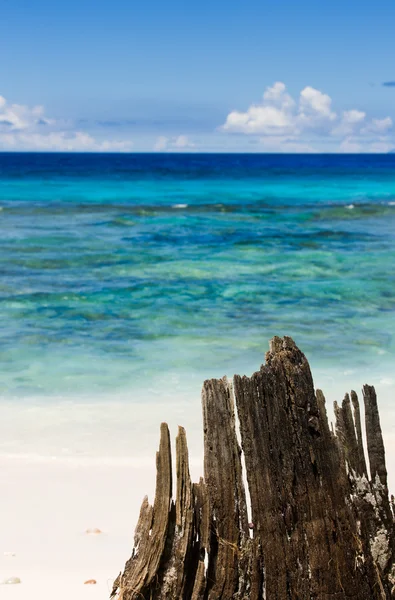 Paisaje tropical con playa oceánica, tronco de madera . —  Fotos de Stock