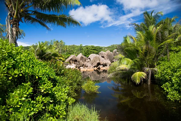 Paisaje tropical, lago, palmera, cielo y arbustos verdes — Foto de Stock