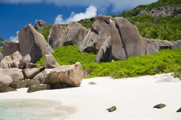 Rocas típicas de Seychelles con arbustos y playa de arena —  Fotos de Stock