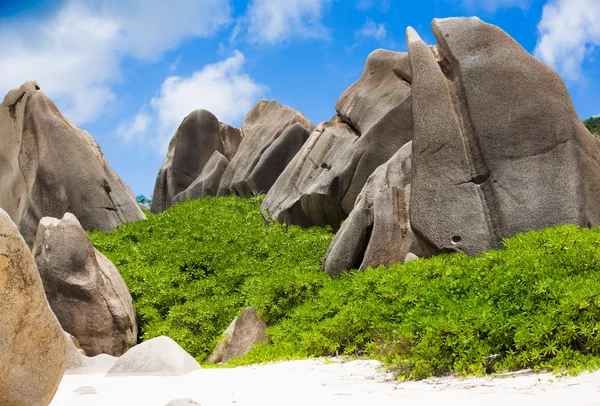 Seyşeller tipik kayalar çalılar ve kumsalı ile