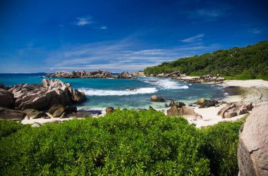 Deniz kıyısında çalılar, vahşi kayalar ve kum.