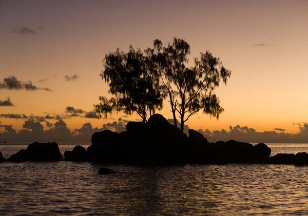 Petite île rocheuse avec des arbres au lever du soleil . — Photo