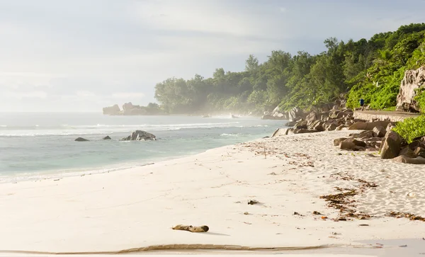 Seychelles, LaDigue island, tropical beach — Stock Photo, Image