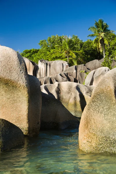 Ilha das Seychelles, rochas típicas de granito, plantas e costa marítima — Fotografia de Stock