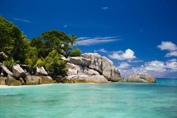 Seychelles, typical rocks and tropical view of an island — Stock Photo, Image