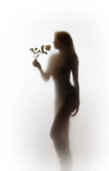 Belle Silhouette Forme Corps Femme Avec Fleur Rose Derrière Rideau — Photo