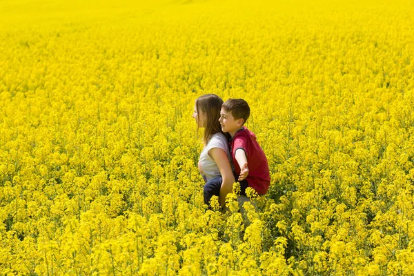 Young Children Older Sister Younger Brother Enjoy Yellow Flowery Spring — Stock Photo, Image