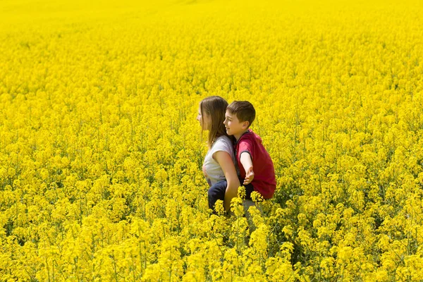 Young Children Older Sister Younger Brother Enjoy Yellow Flowery Spring Stock Fotó