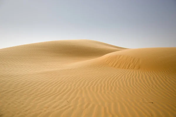 Sand dunes, weaves of dust in a beautiful desert — Stock Photo, Image