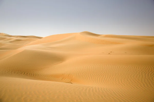 Sand dunes, weaves of dust in a beautiful desert — Stock Photo, Image