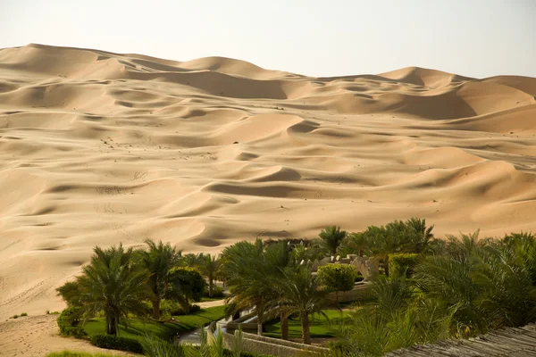 Groene oase in het midden van een zand woestijn — Stockfoto