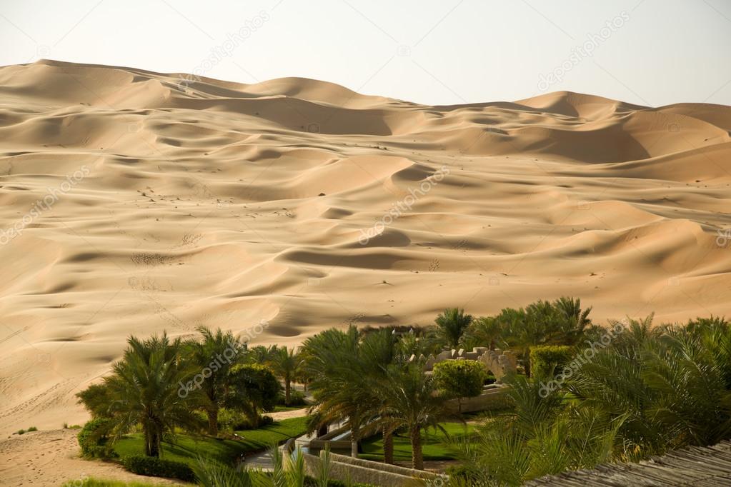 Green oasis in the middle of a sand desert