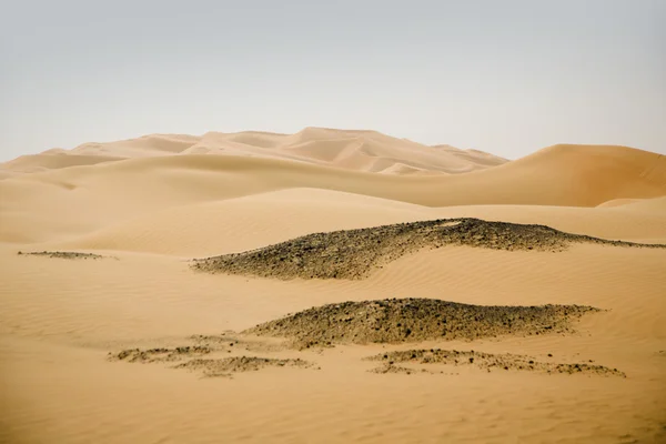 Belle dune di sabbia del deserto in Medio Oriente — Foto Stock