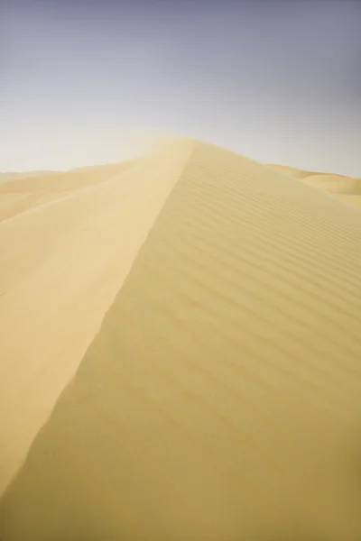 Dunas de areia de um deserto, pegadas — Fotografia de Stock